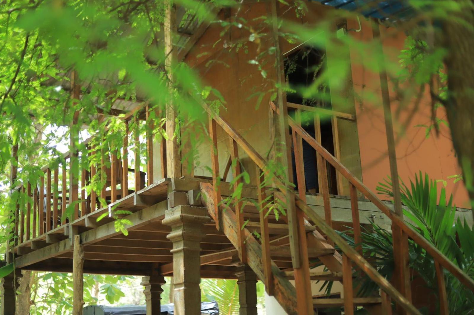 Sigiriya Free View Tree House & Villa Dış mekan fotoğraf
