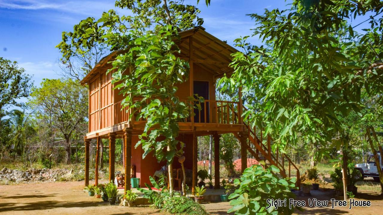 Sigiriya Free View Tree House & Villa Dış mekan fotoğraf