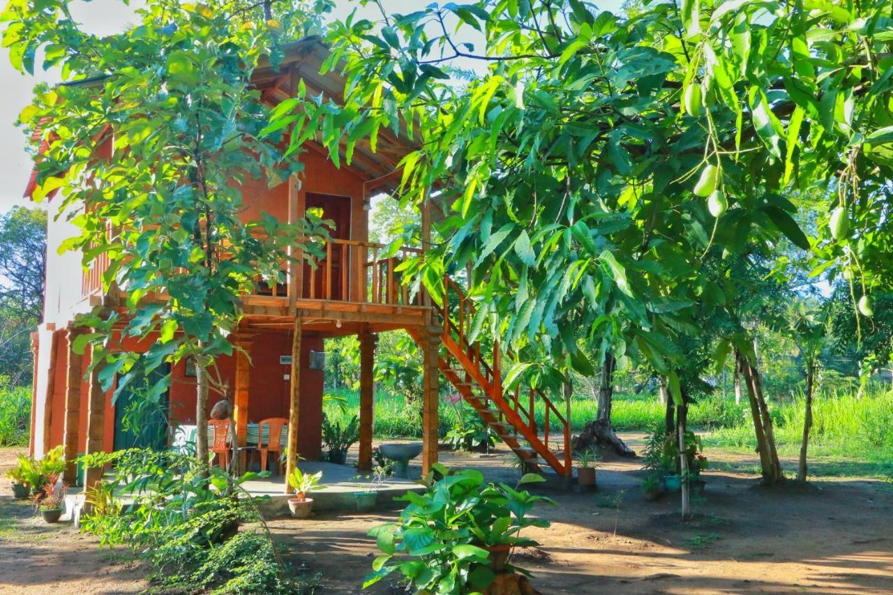 Sigiriya Free View Tree House & Villa Dış mekan fotoğraf