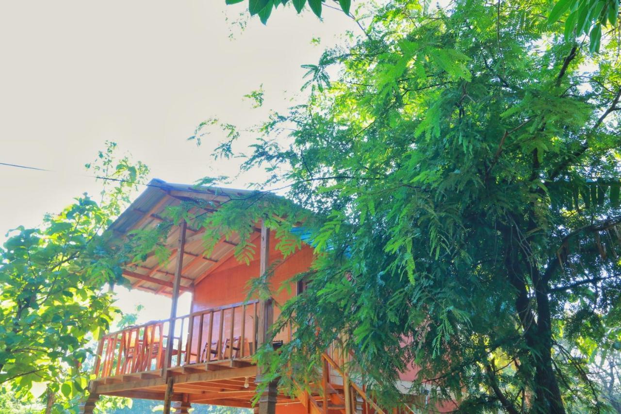 Sigiriya Free View Tree House & Villa Dış mekan fotoğraf