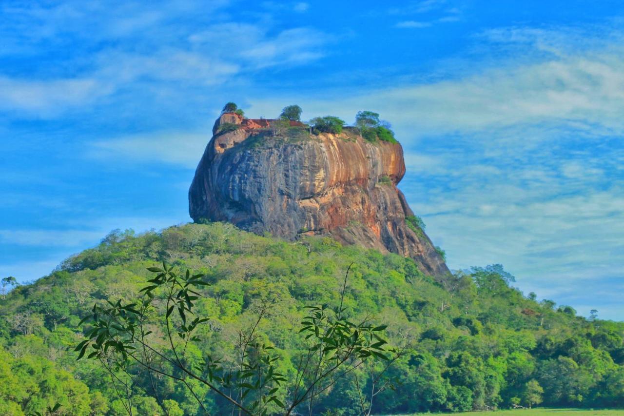 Sigiriya Free View Tree House & Villa Dış mekan fotoğraf
